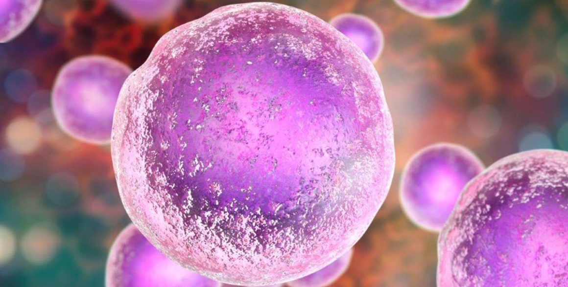 Becoming an Egg Donor